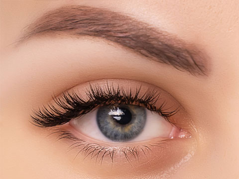 eyebrow-transplant-list